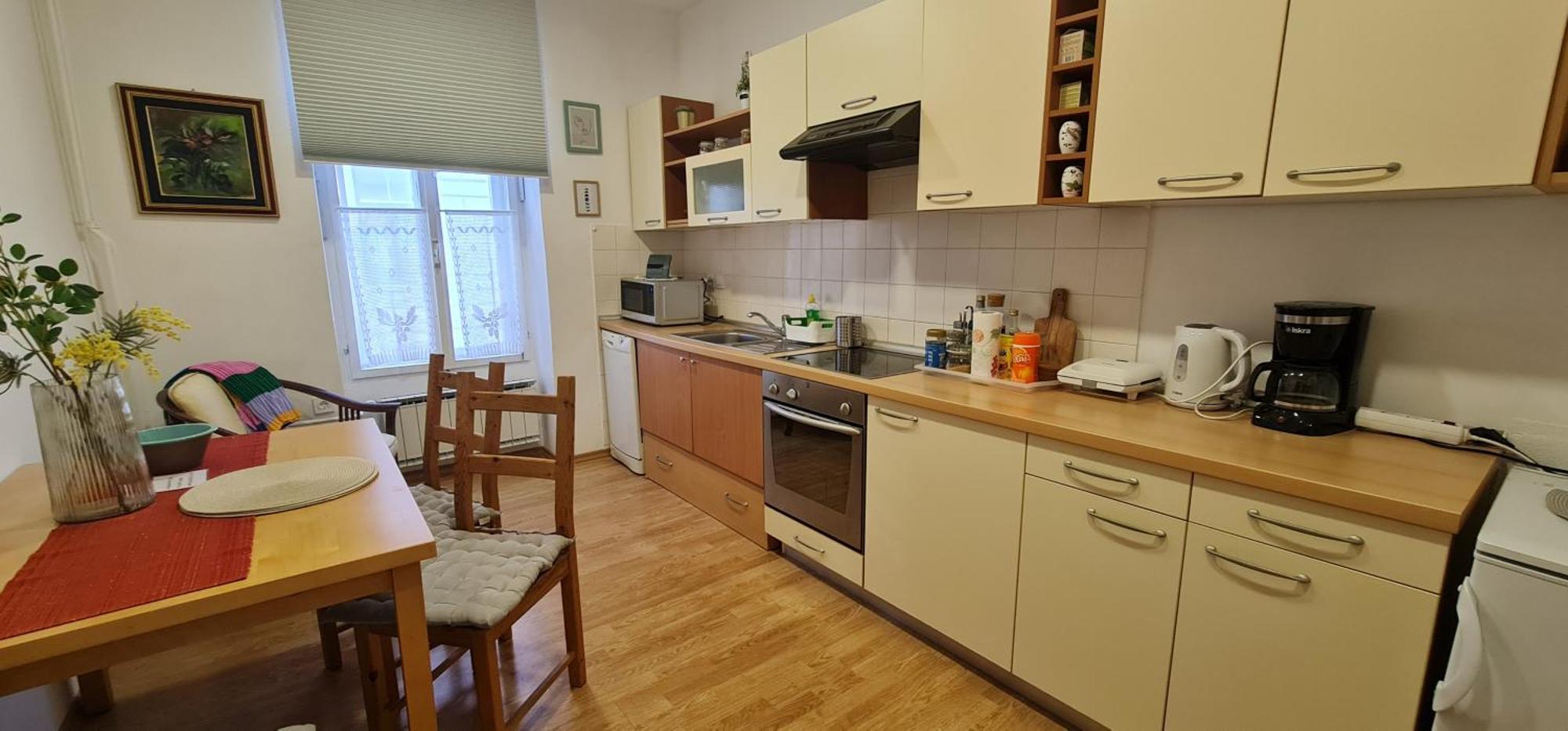 Apartament Apartma Domenika Ptuj Zewnętrze zdjęcie